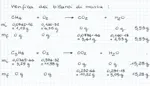 combustione metano+propano_3.jpg