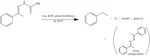 Reazione sintesi carbometossidrazone 3.jpg