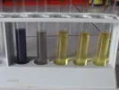 Test solfuri - nitroprussiato.JPG