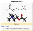 acetilcolina.JPG