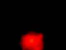 Triboluminescenza - 3.jpg