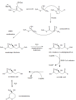 mevalonic acid biosynthesis.png